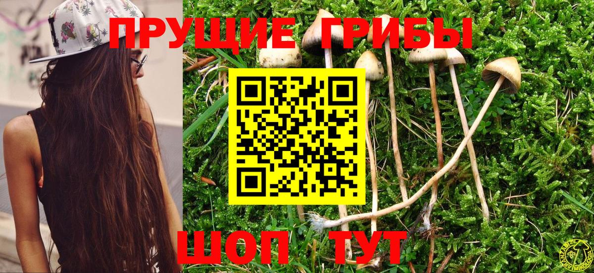Галлюциногенные грибы мухоморы  Псилоцибиновые грибы прущие грибы  Рыбинск  Вход с VPN 